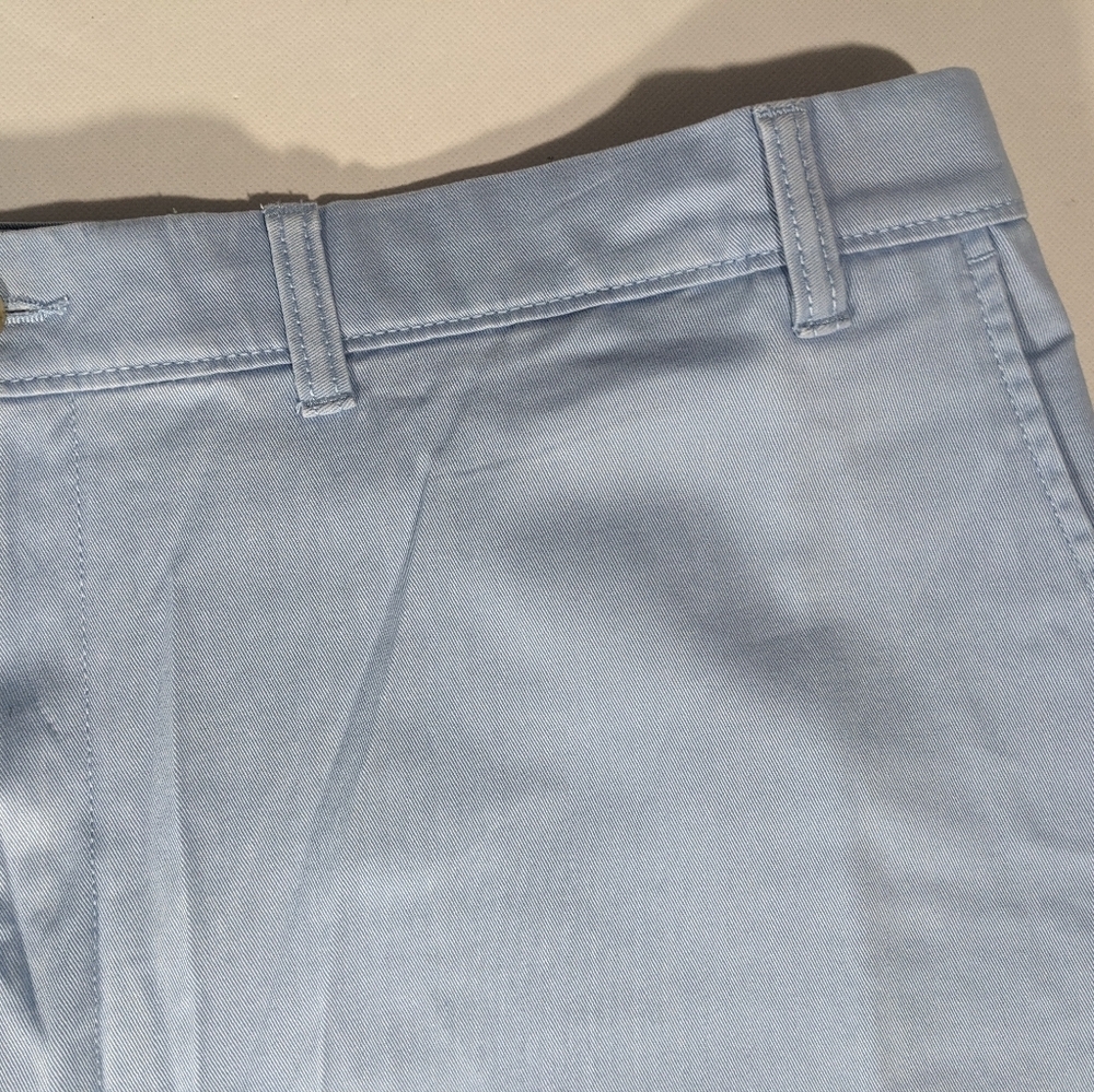NEW Big Mens Roundtree & Yorke Casuals Chino Flat Shorts 9"I Lt Blue - Picture 3 of 9
